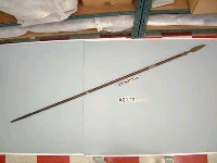 藏品(槍)的圖片